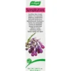 Symphytum Comfrey Skin Cream.