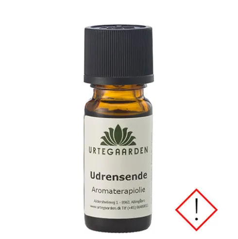 Udrensende