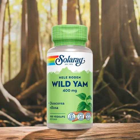 Wild Yam Root